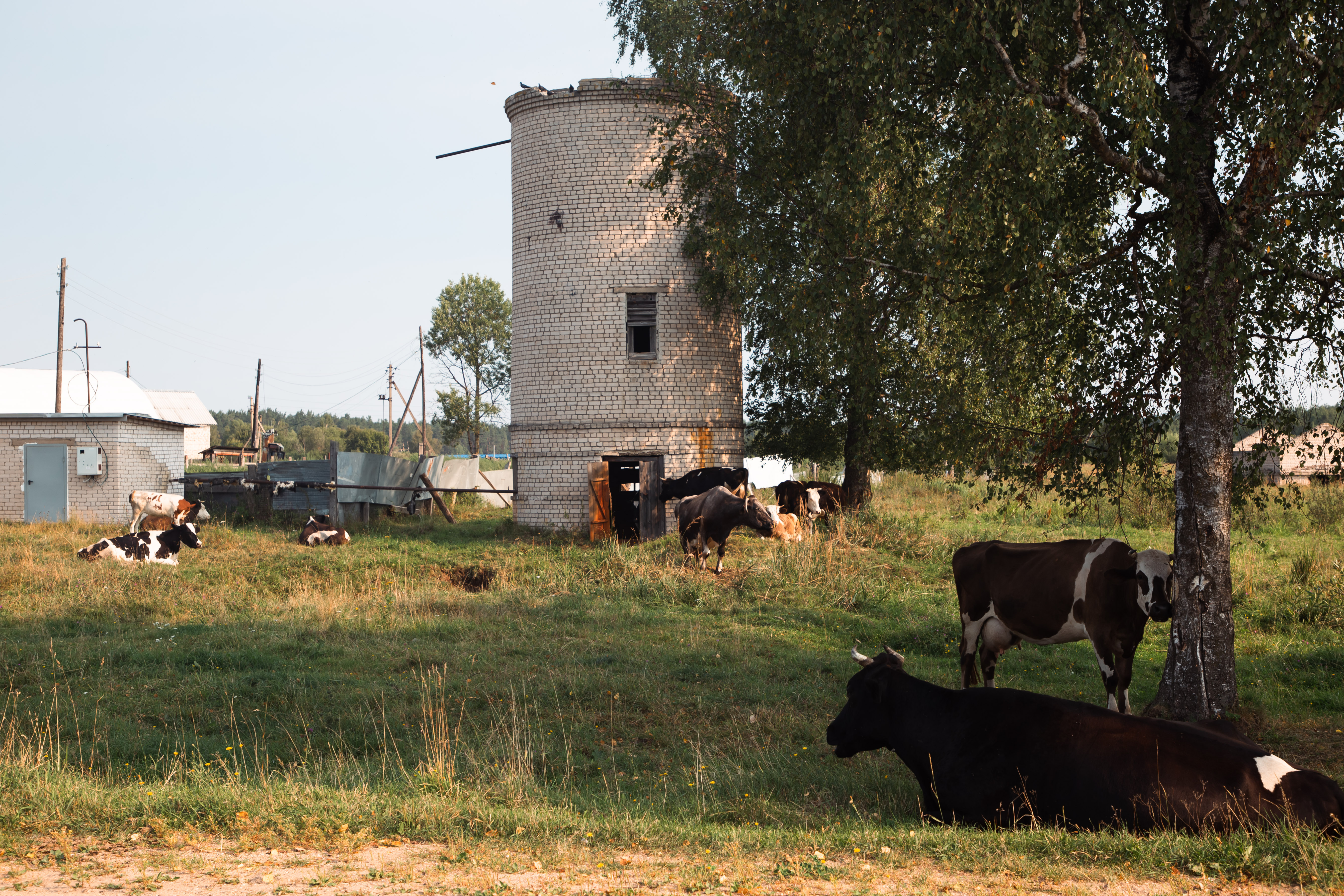 Россельхознадзор и ФНС Тверской области объединили усилия для борьбы с неиспользуемыми землями Россельхознадзор и ФНС Тверской области объединили усилия для борьбы с неиспользуемыми землями