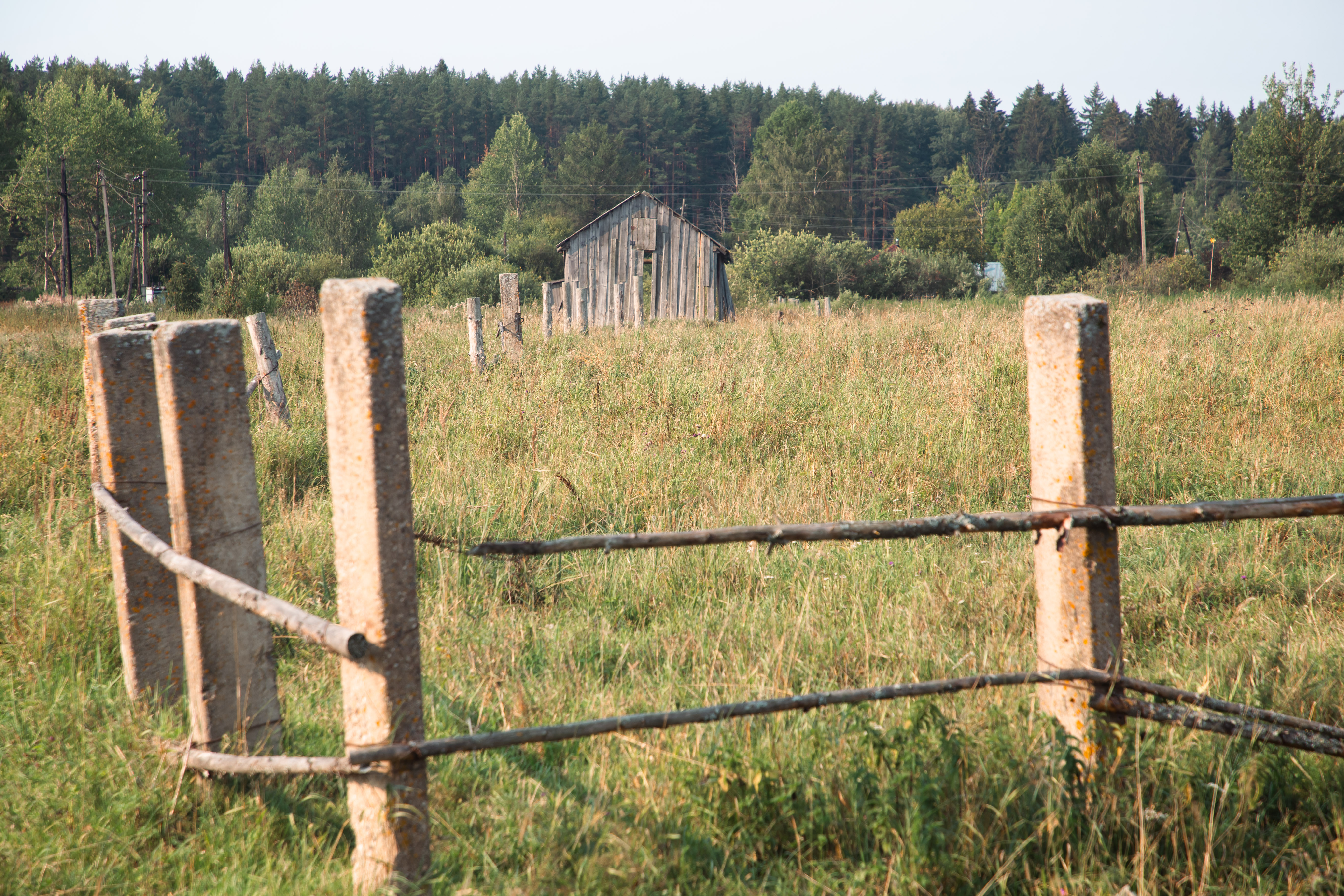 Россельхознадзор ужесточает контроль за землями сельхозназначения в Тверской области