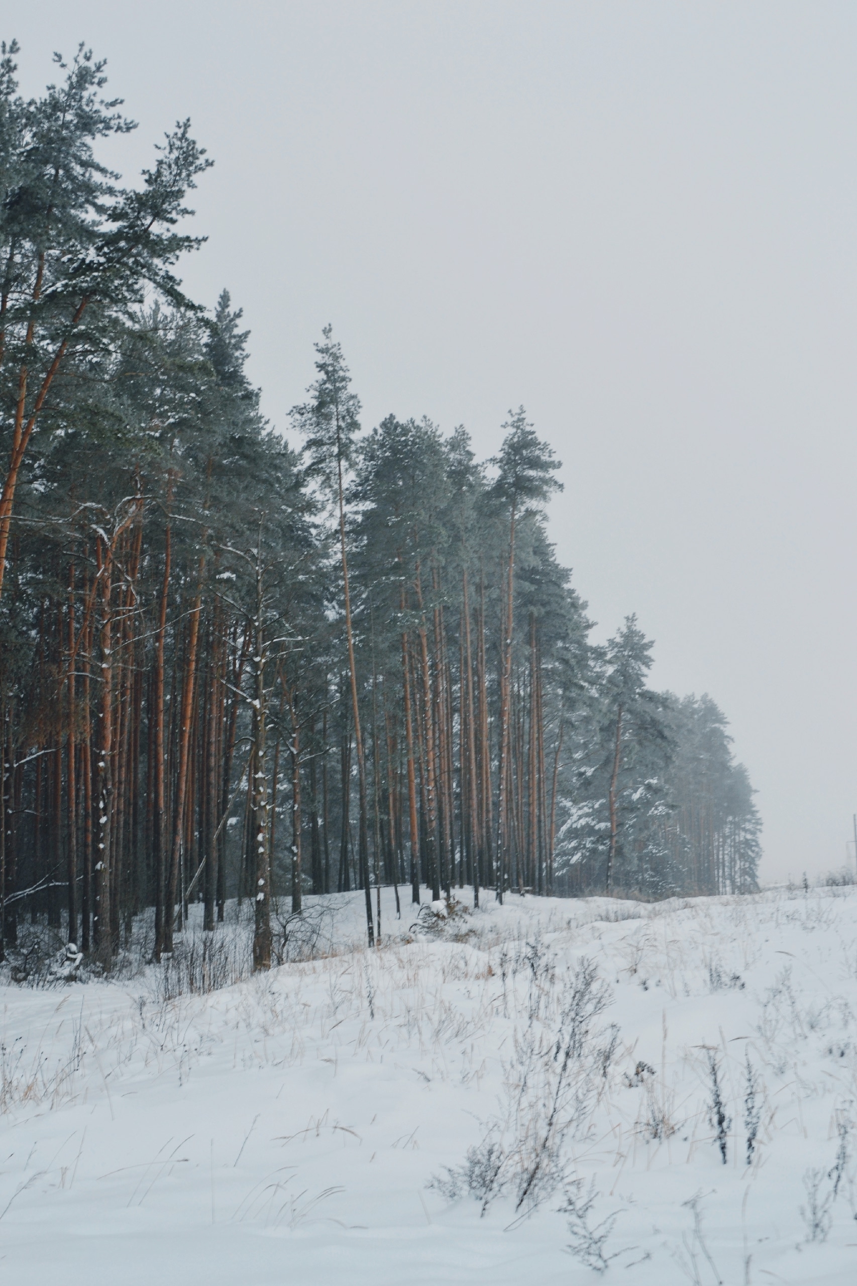 Февраль в Тверской области: битва с природой или сказочная зима? Февраль в Тверской области: битва с природой или сказочная зима?