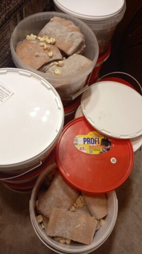 Домашнее сало для бойцов из Тверской области уже готово к отправке Домашнее сало для бойцов из Тверской области уже готово к отправке