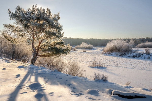 Гидрометцентр выпустил экстренное предупреждение об аномально холодной погоде 
