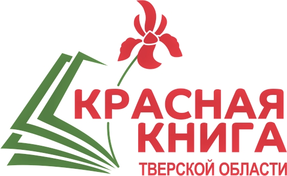 В Тверской области стартовал конкурс детских рисунков