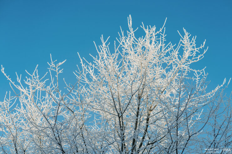 погода снег