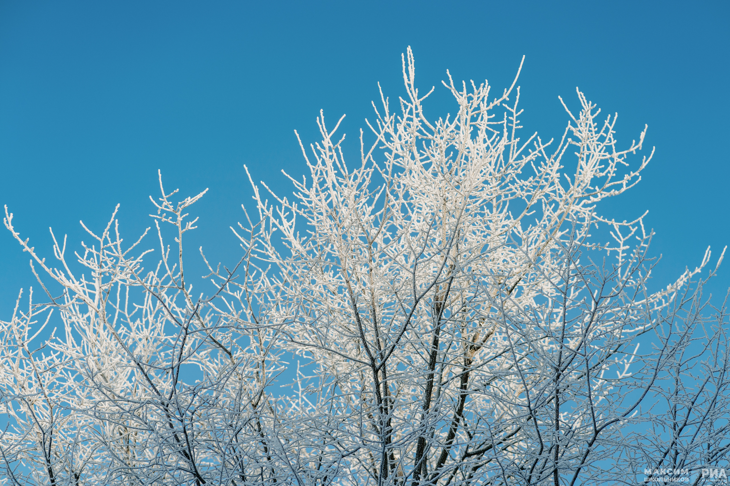 погода снег