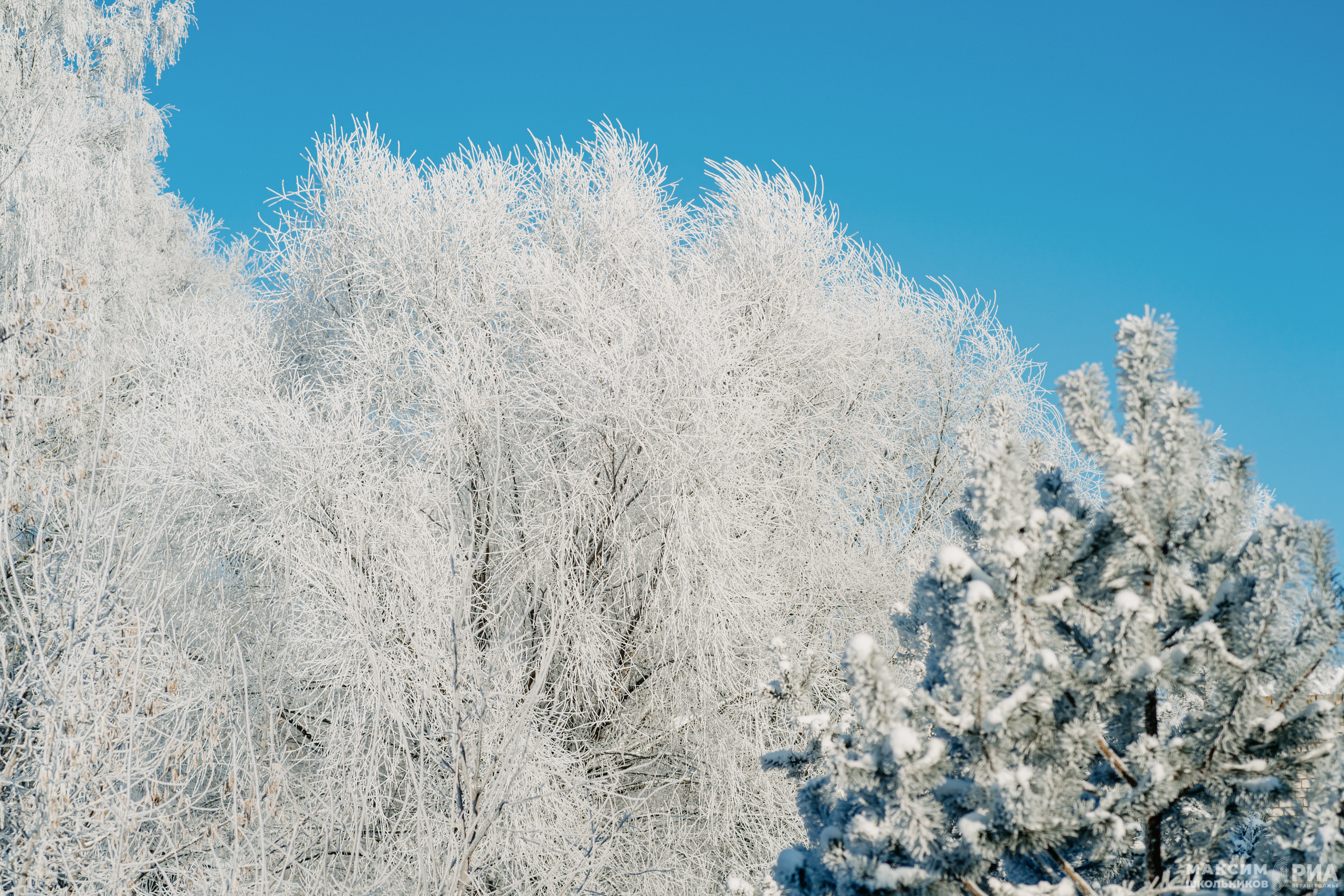 Погода в Твери на завтра Погода в Твери на завтра