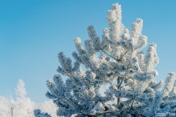 Погода в Твери на завтра