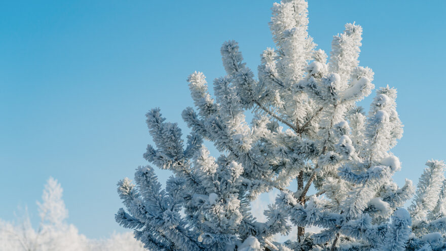 Погода в Твери на завтра
