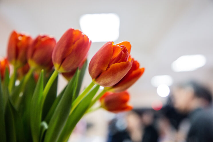 Длинные выходные на 8 Марта: каждый шестой россиянин планирует продлить отдых Длинные выходные на 8 Марта: каждый шестой россиянин планирует продлить отдых