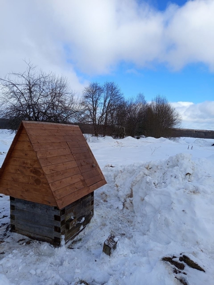 В Оленинском округе перенесли гнездо аиста
