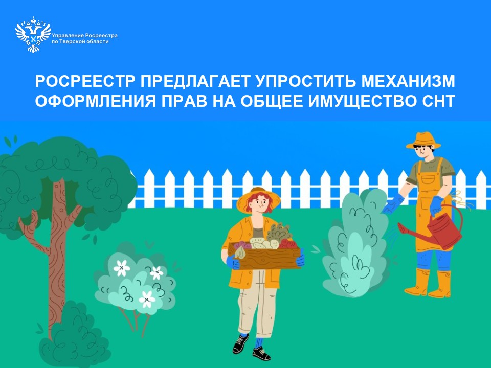 Революция для дачников: Росреестр предлагает упростить оформление общего имущества СНТ