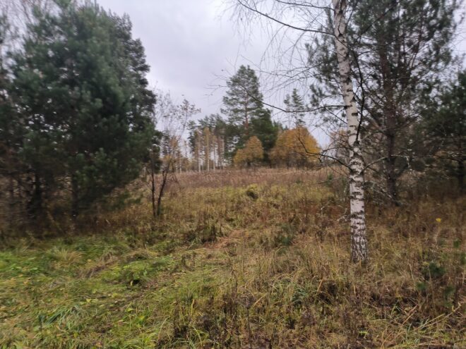 Земля не прощает бездействия: 42 гектара изъяты у собственника в Тверской области за неиспользование