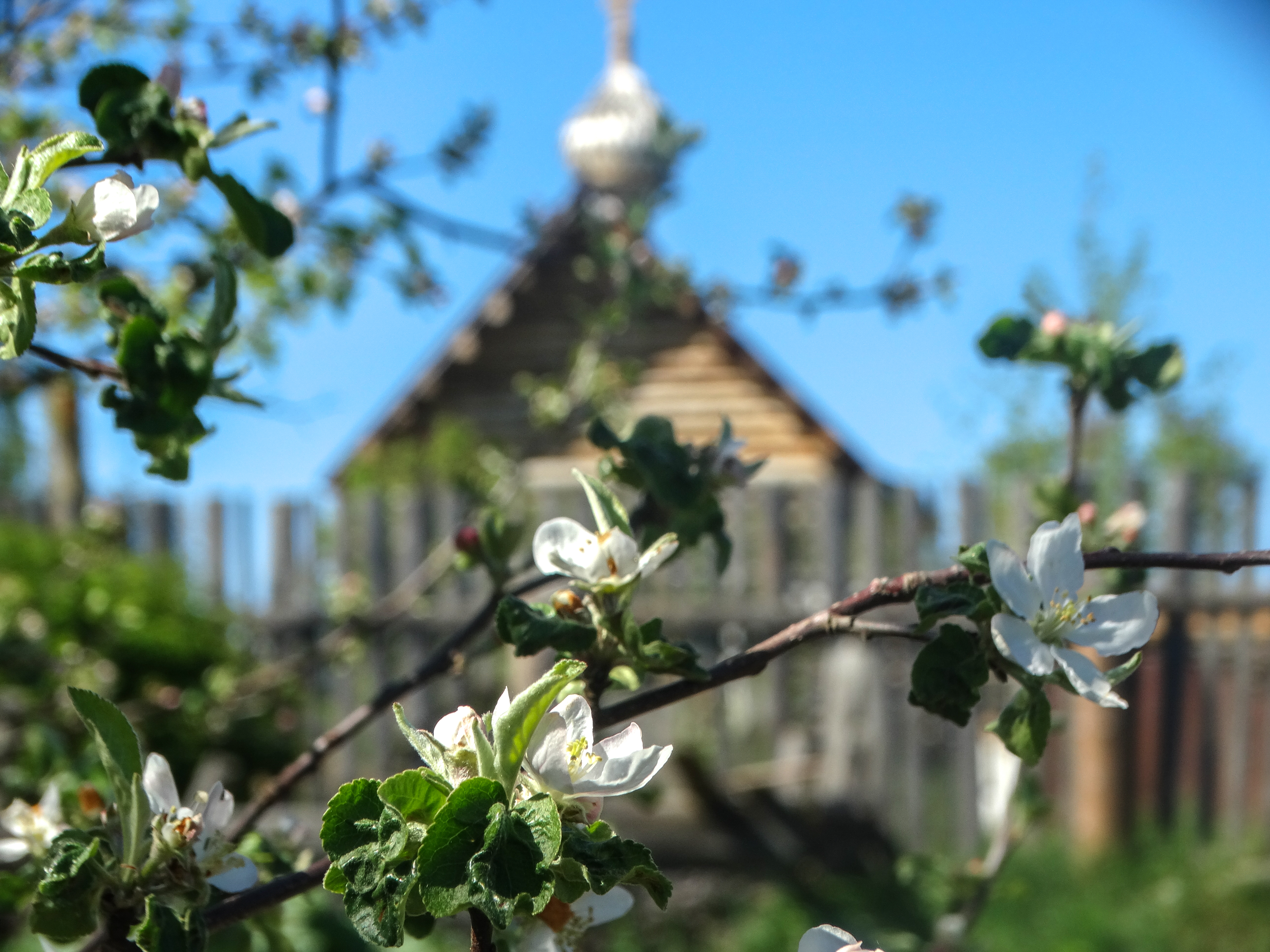 Россельхознадзор Тверской области разъясняет: Можно ли строить дом на даче?