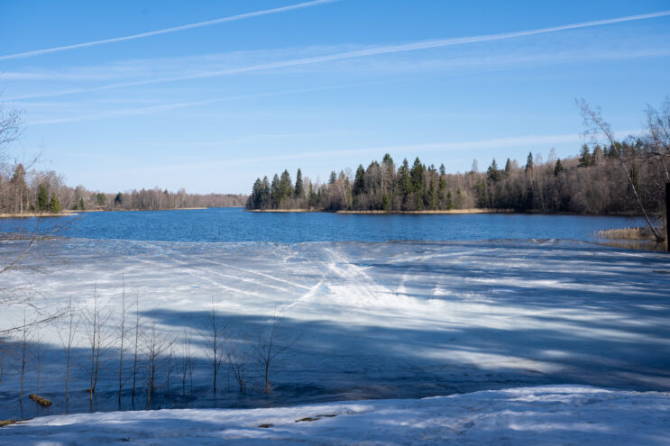 Весна вступает в права: Тверская область освобождается от снега Весна вступает в права: Тверская область освобождается от снега