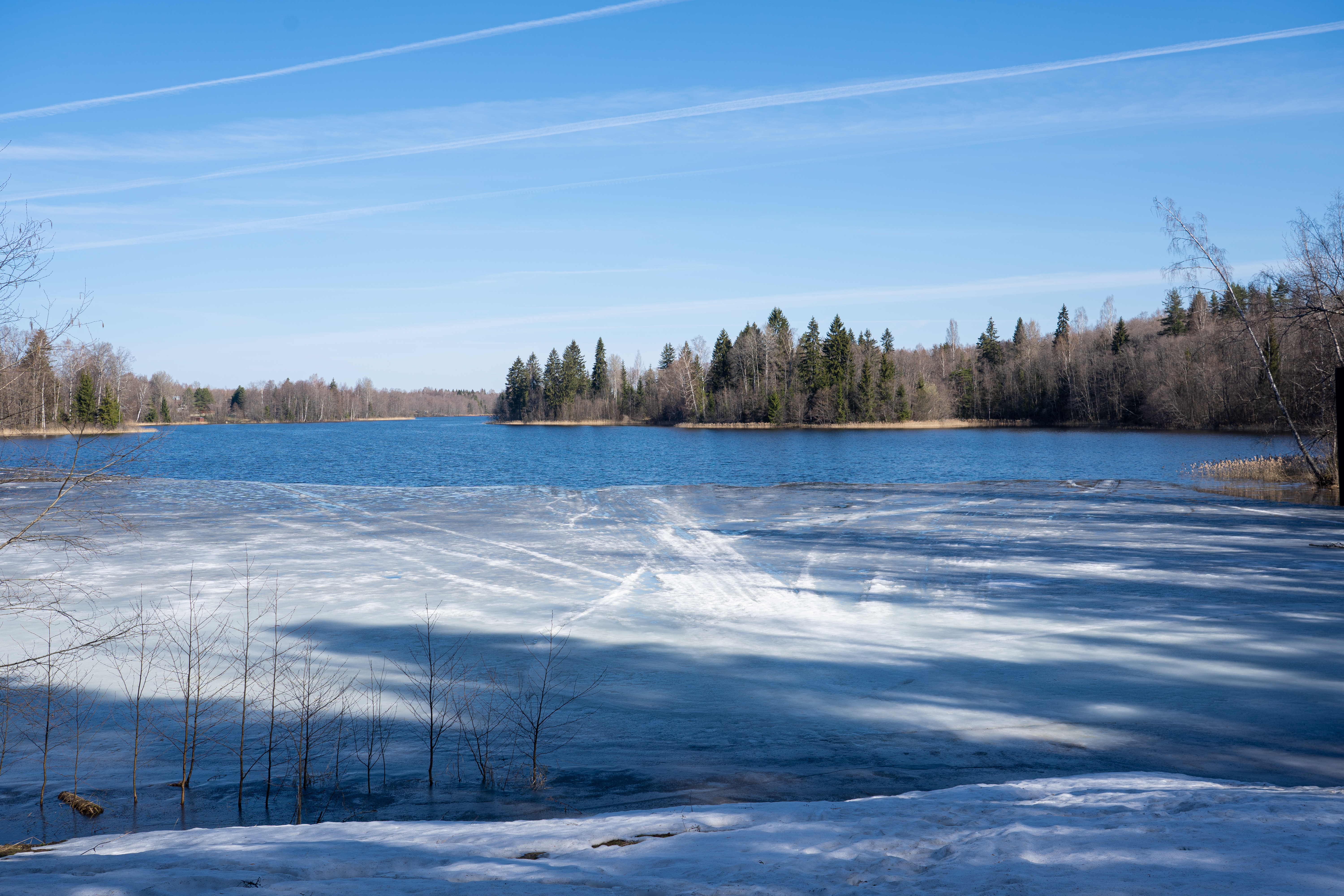 Весна вступает в права: Тверская область освобождается от снега