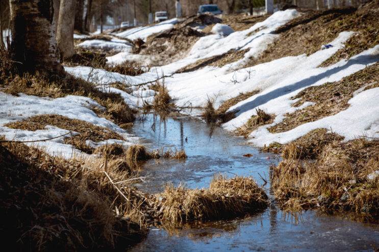В Тверской области становится все меньше сугробов