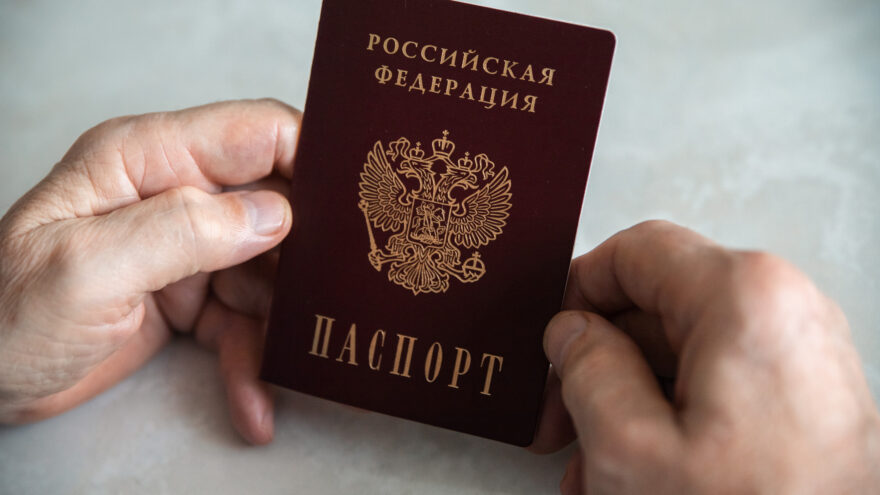 МВД Российской Федерации: почему важно своевременно обновлять информацию в водительских документах