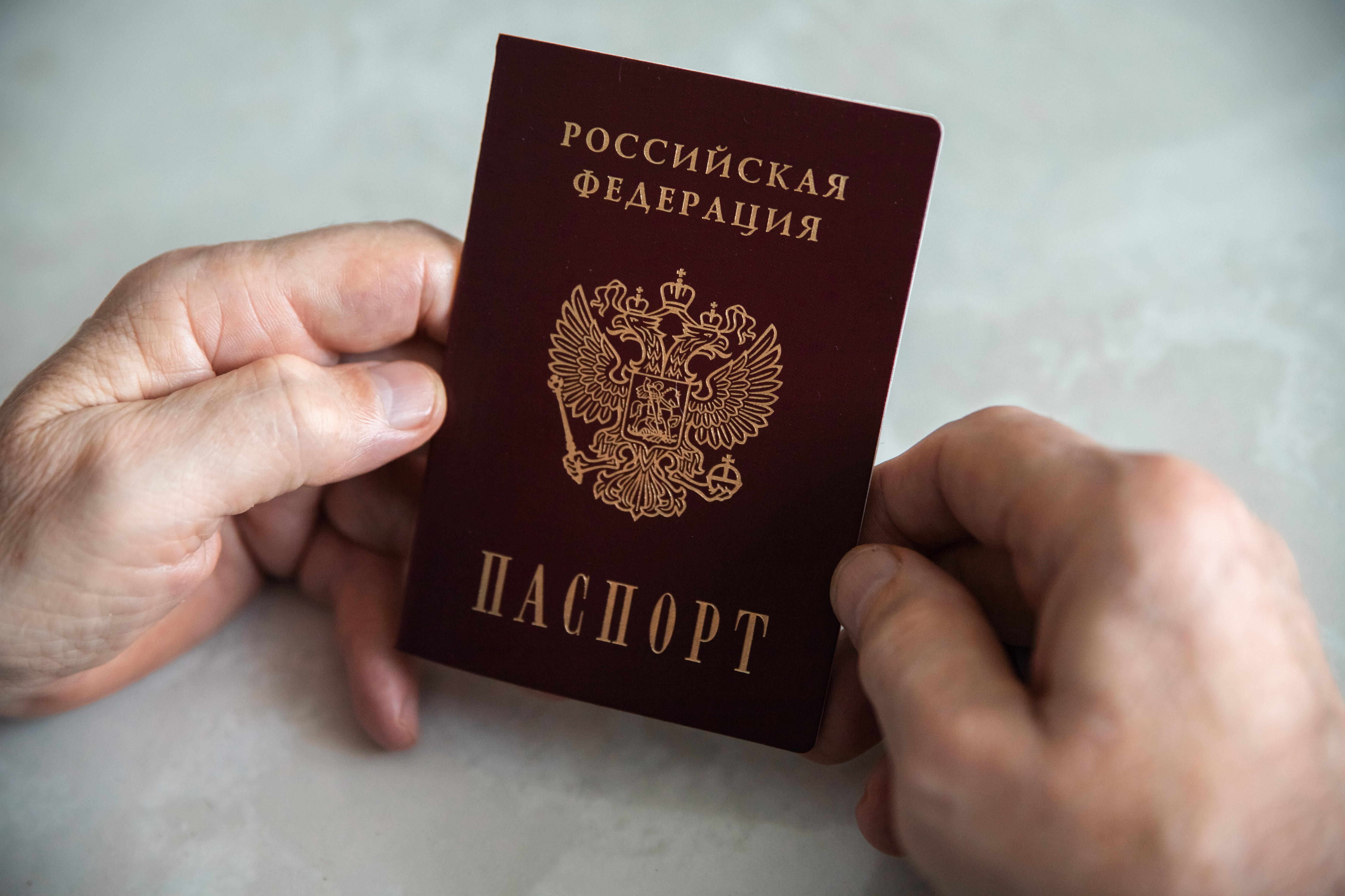 МВД Российской Федерации: почему важно своевременно обновлять информацию в водительских документах