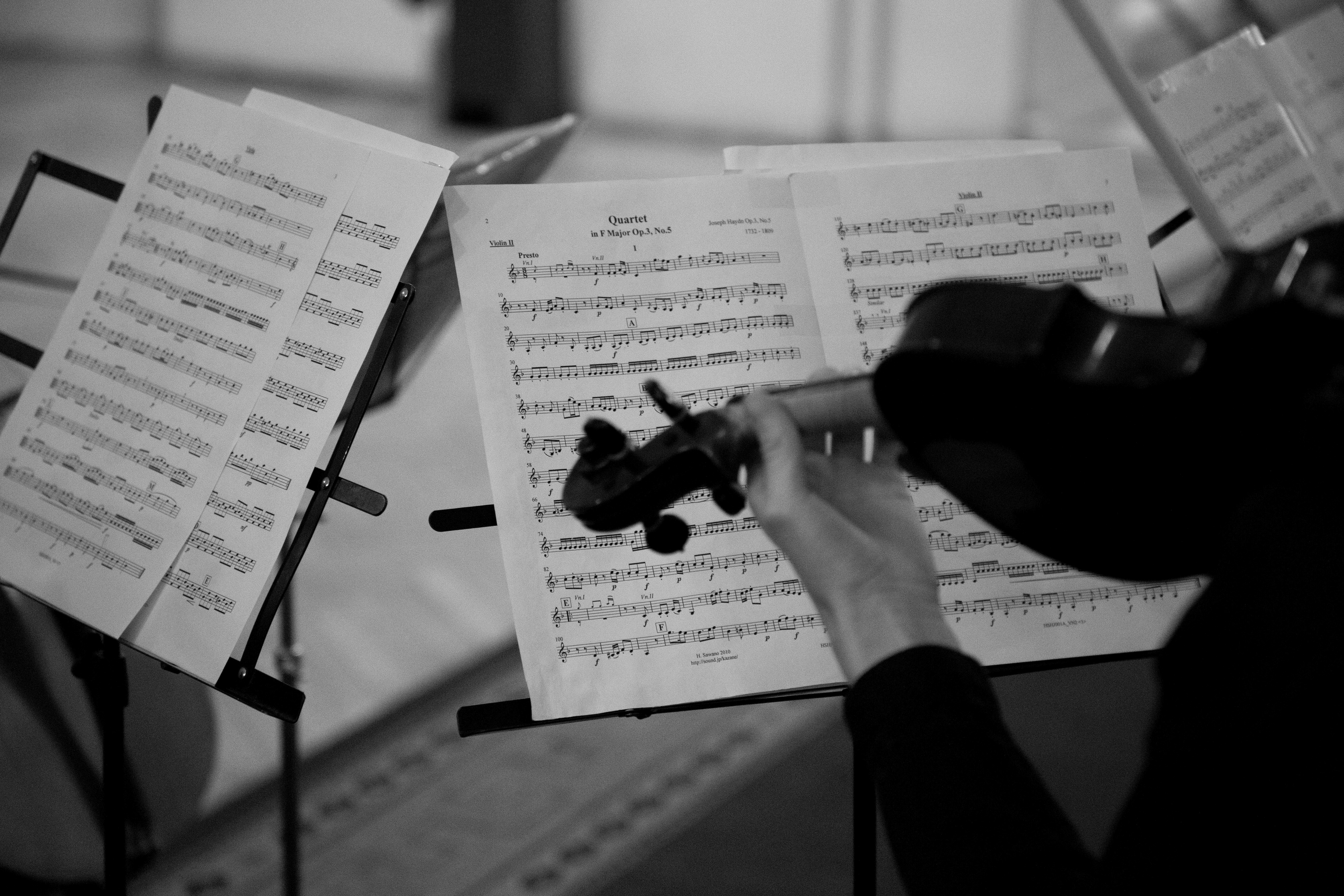 «Музыкальная гостиная» откроет двери для ценителей скрипки и струнного квартета