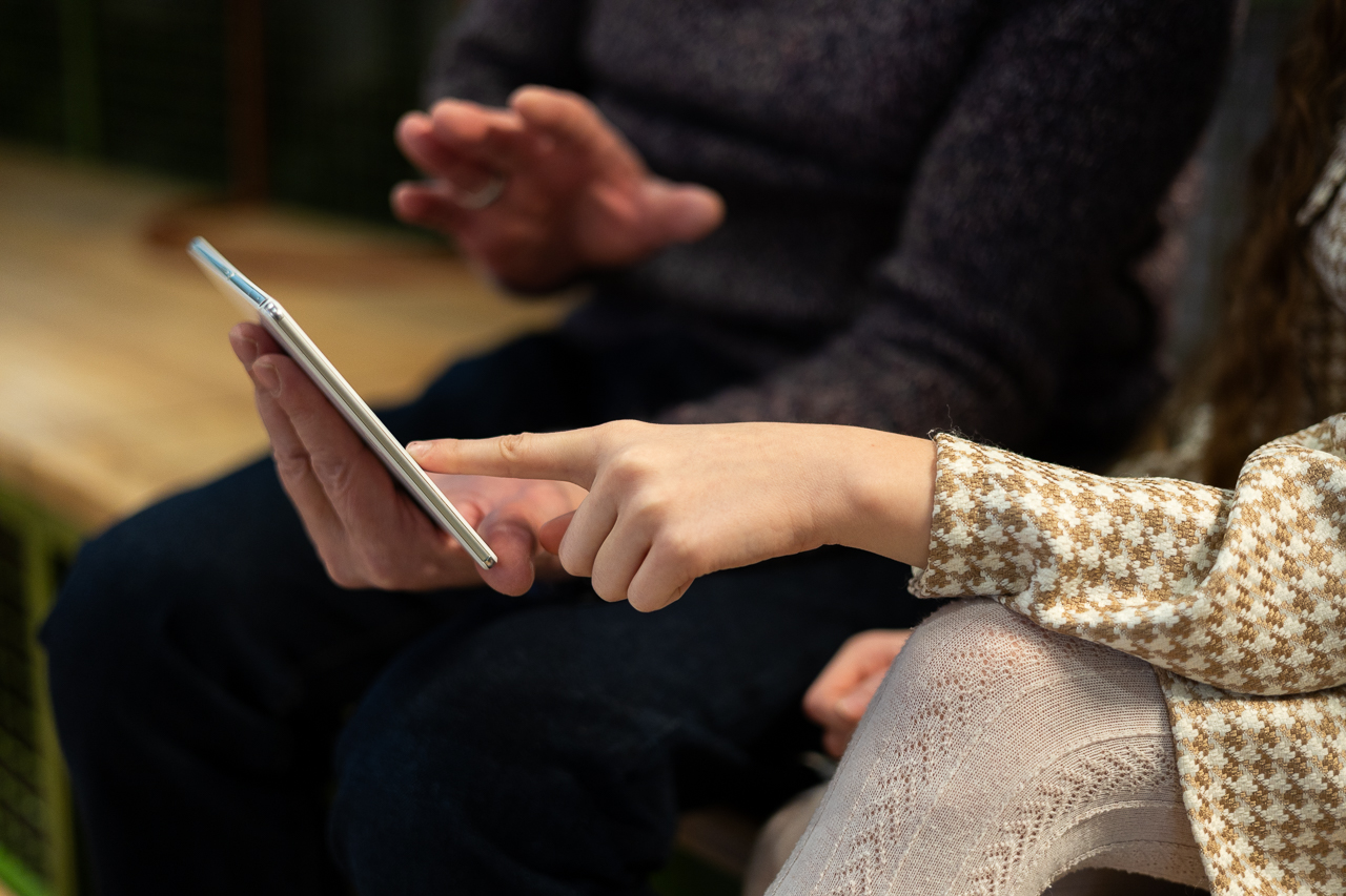 Жизнь по плану: с начала года в Твери интерес к сервисам для планирования увеличился на треть