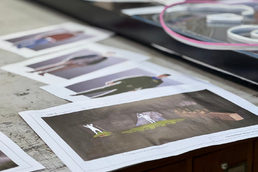 В стенах Тверского ТЮЗа идет активная подготовка к премьере «Посадить дерево»