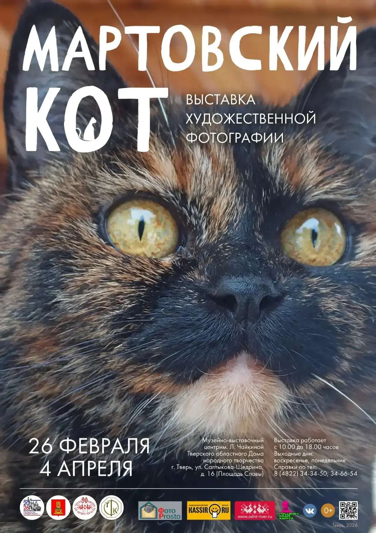Весна и коты: новая фотовыставка открылась 26 февраля