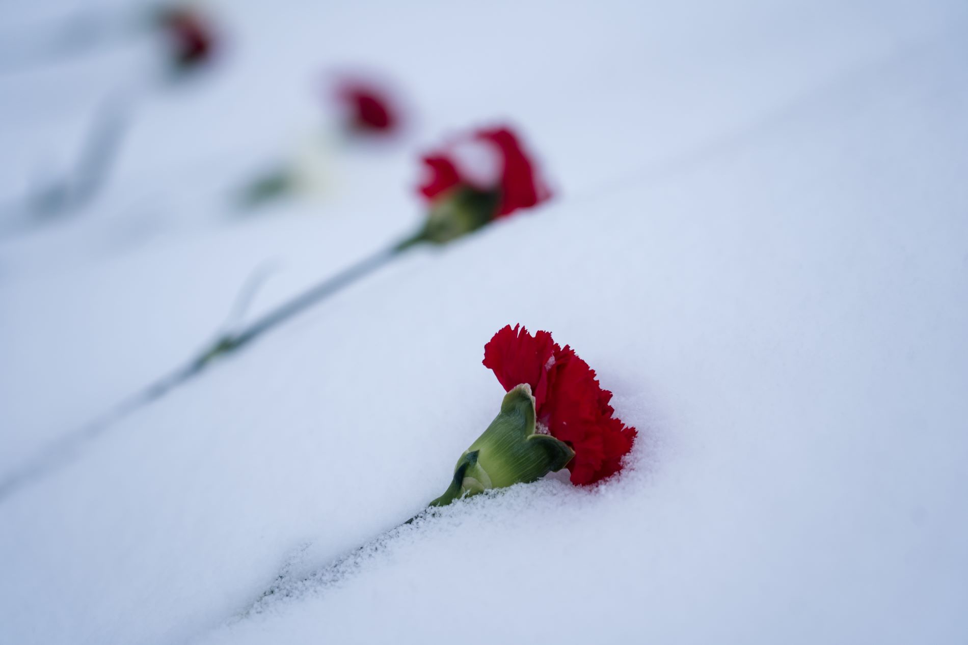 Дмитрий Багров из Тверской области погиб при выполнении боевого задания