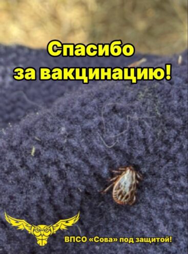 Первый этап пройден: Волонтёры ВПСО "СОВА" получили защиту от клещевого энцефалита в ГКБ №7