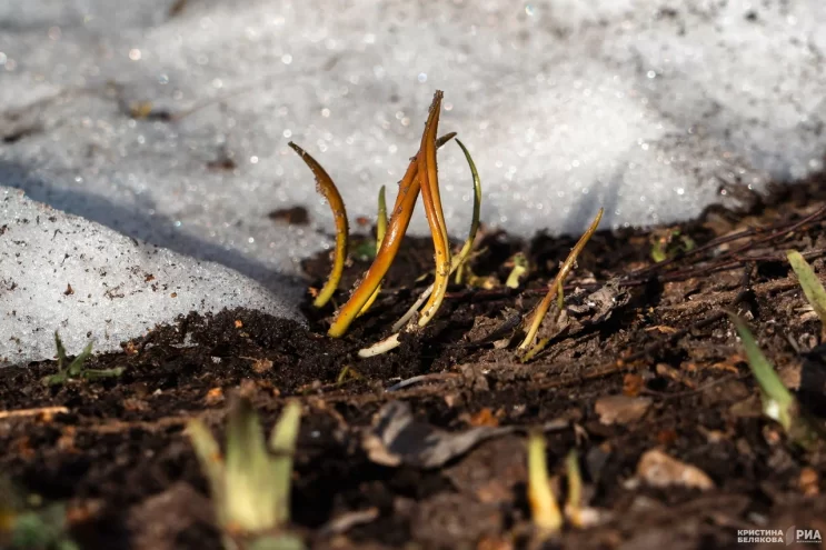 Конец марта удивит: появился прогноз погоды на предстоящую неделю в Тверской области Конец марта удивит: появился прогноз погоды на предстоящую неделю в Тверской области