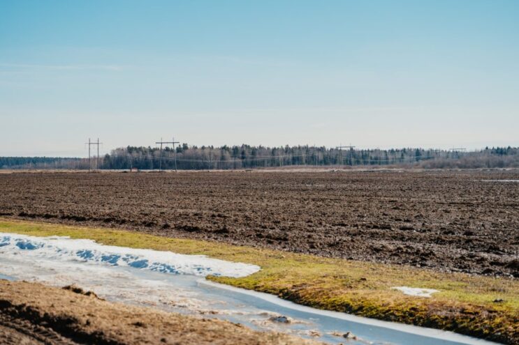 Почему в этом году региональные власти увеличили поддержку аграриев
