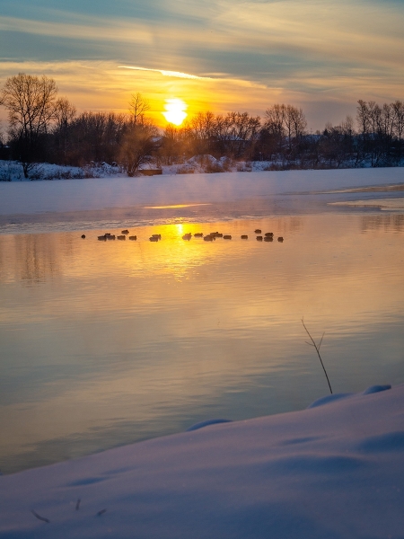Синоптики сообщили, сколько продлится в Тверской области аномальное потепление