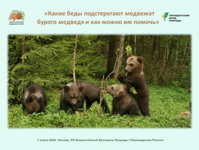 Центр спасения медвежат-сирот вновь на "Первозданной России" делится знаниями и опытом