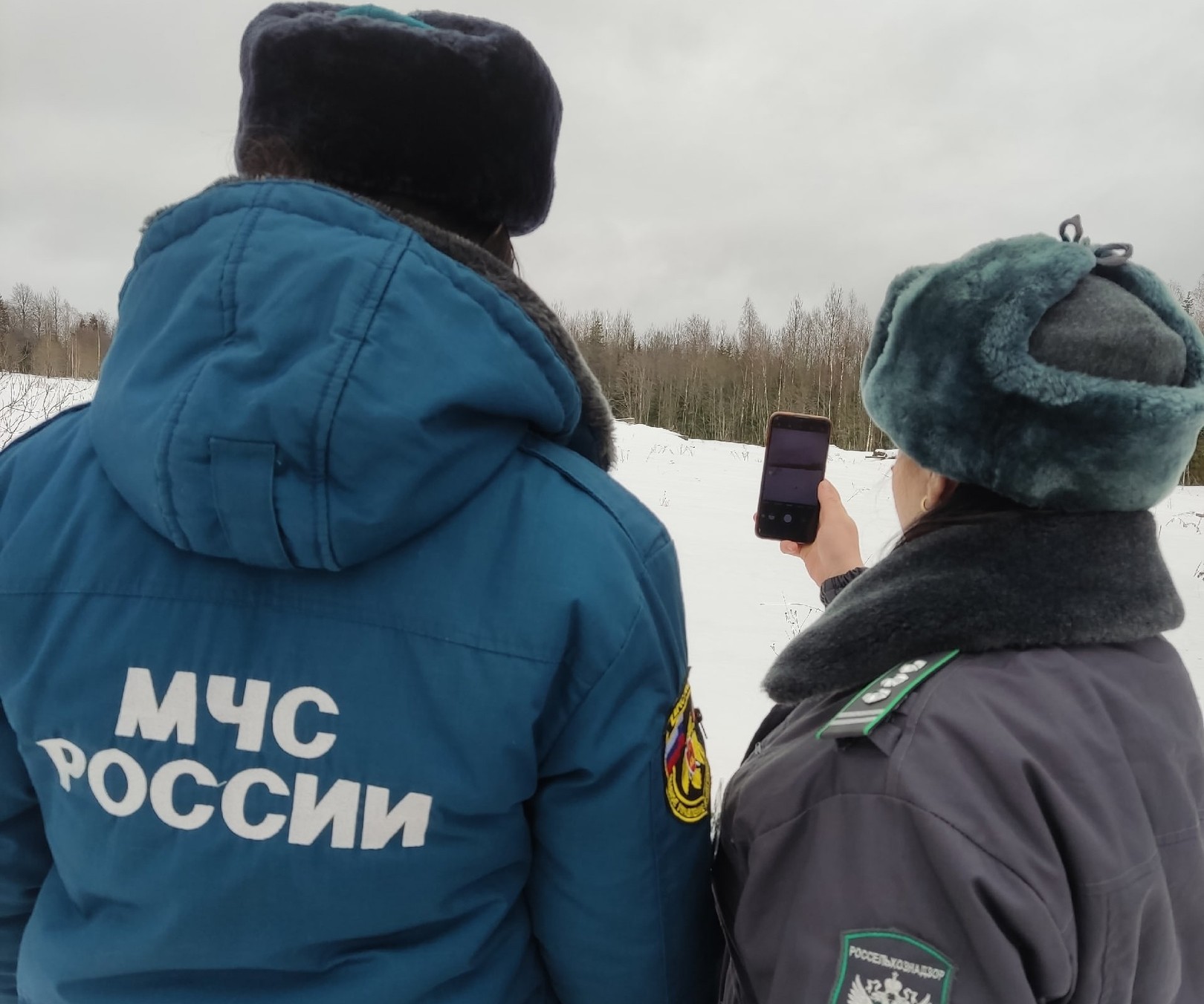 Сельскохозяйственные угодья Тверской области под угрозой