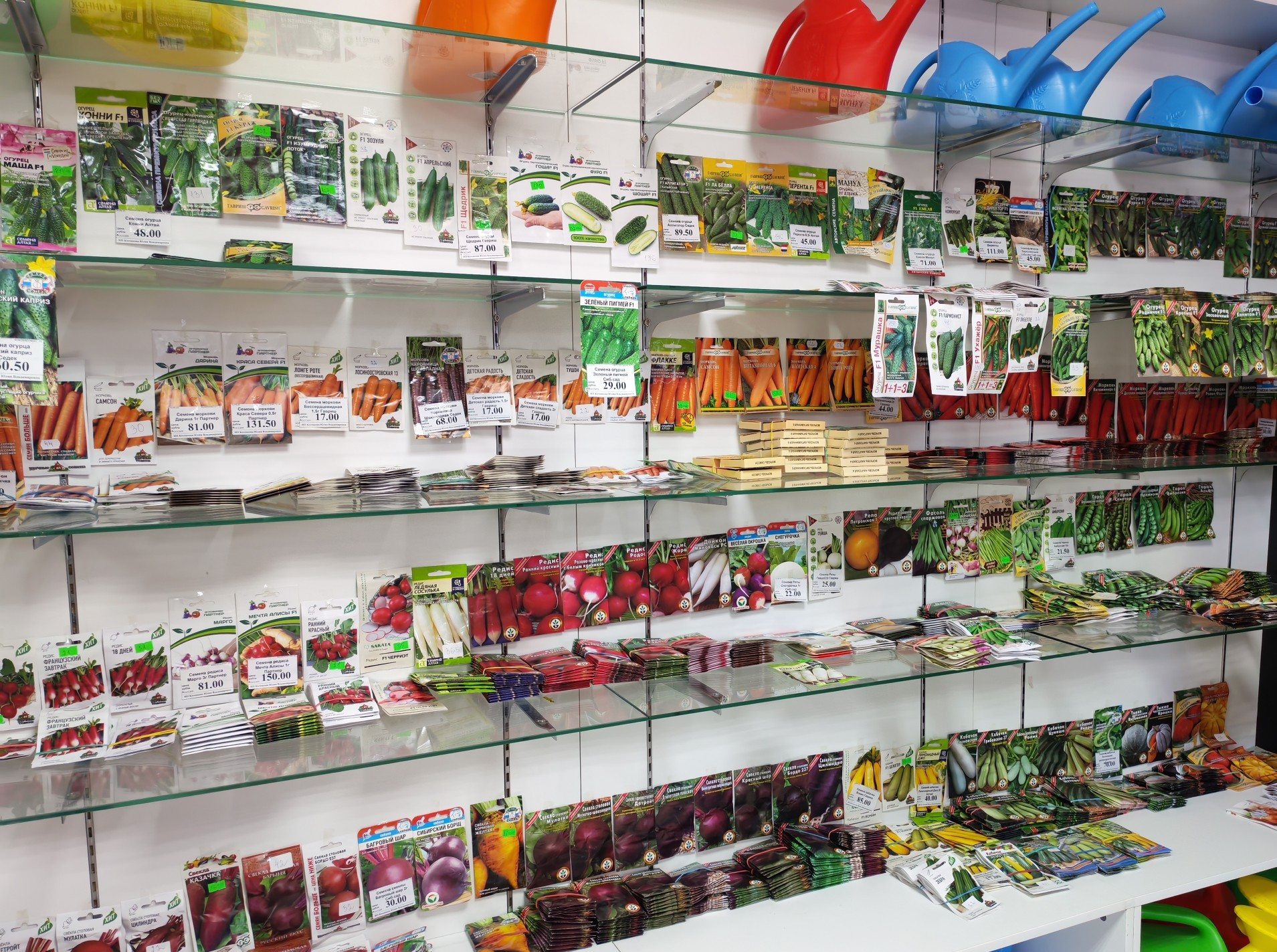 Три дня на уведомление, 15 дней на уничтожение: Россия вводит жесткие меры против ГМО-семян