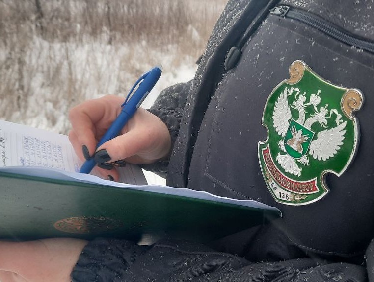 Нерадивый собственник заплатит налог на землю по повышенной ставке Нерадивый собственник заплатит налог на землю по повышенной ставке