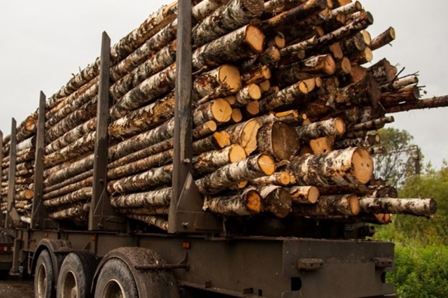 Россельхознадзор Тверской области проконтролировал сотни тонн продукции за неделю