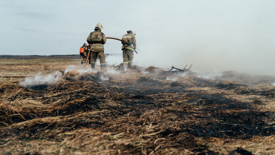 Палы травы угрожают Тверской области: МЧС фиксирует десятки пожаров