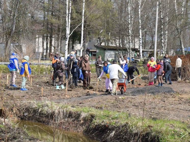 В парке в Оленино высадили больше 300 деревьев