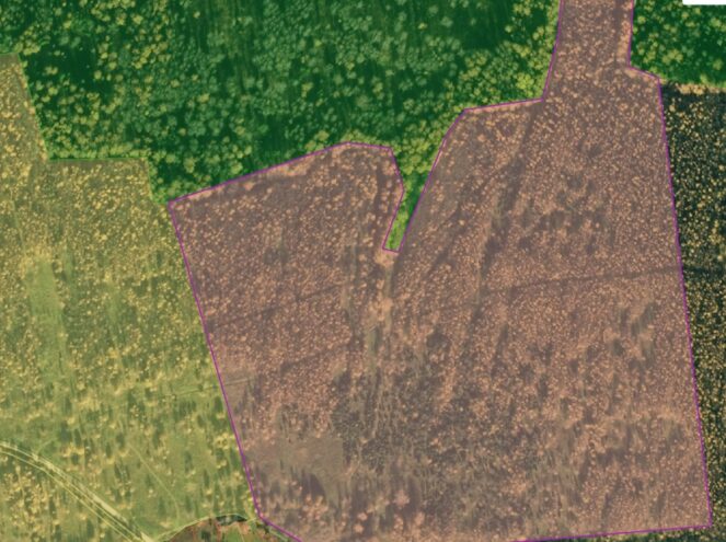 Как Россельхознадзор Тверской области использует космос для сохранения плодородных земель