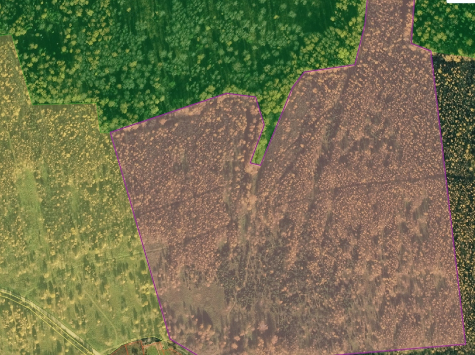 Как Россельхознадзор Тверской области использует космос для сохранения плодородных земель Как Россельхознадзор Тверской области использует космос для сохранения плодородных земель