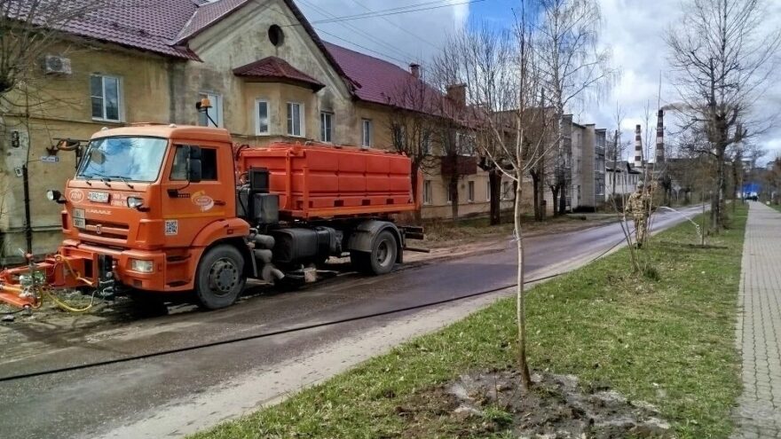 В городе Нелидово высадили липы