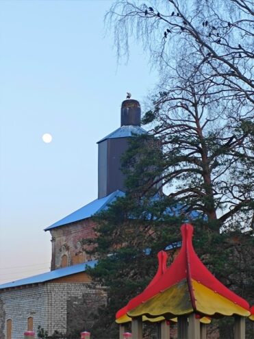 Аист вернулся в деревню в Андреапольском округе