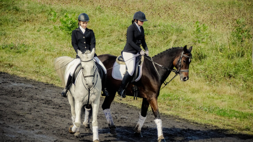 Тверская область на спортивной волне: насыщенная неделя для спортсменов и болельщиков