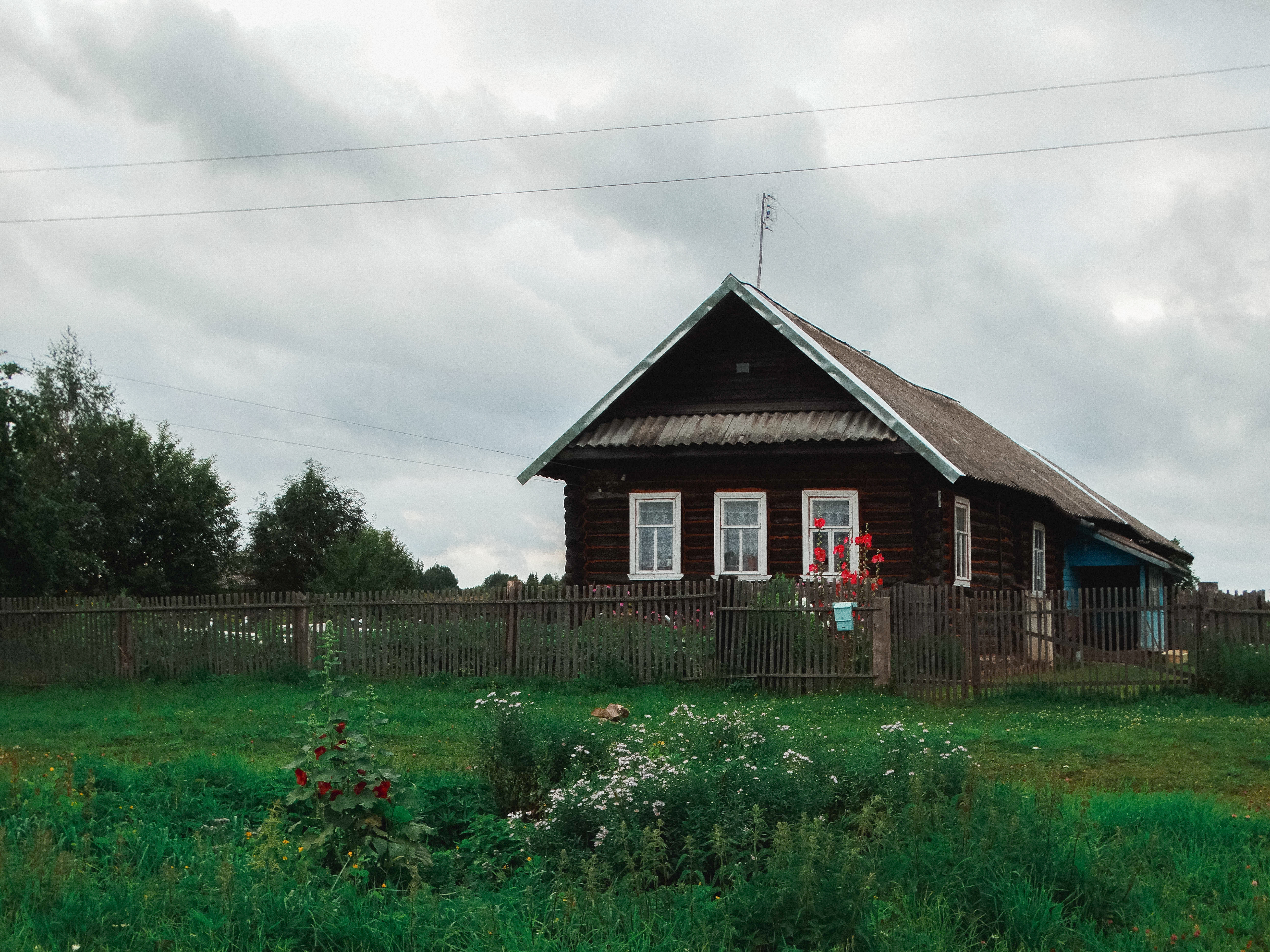 Жаркое лето: шанс вырастить арбузы и дыни на даче в средней полосе Жаркое лето: шанс вырастить арбузы и дыни на даче в средней полосе