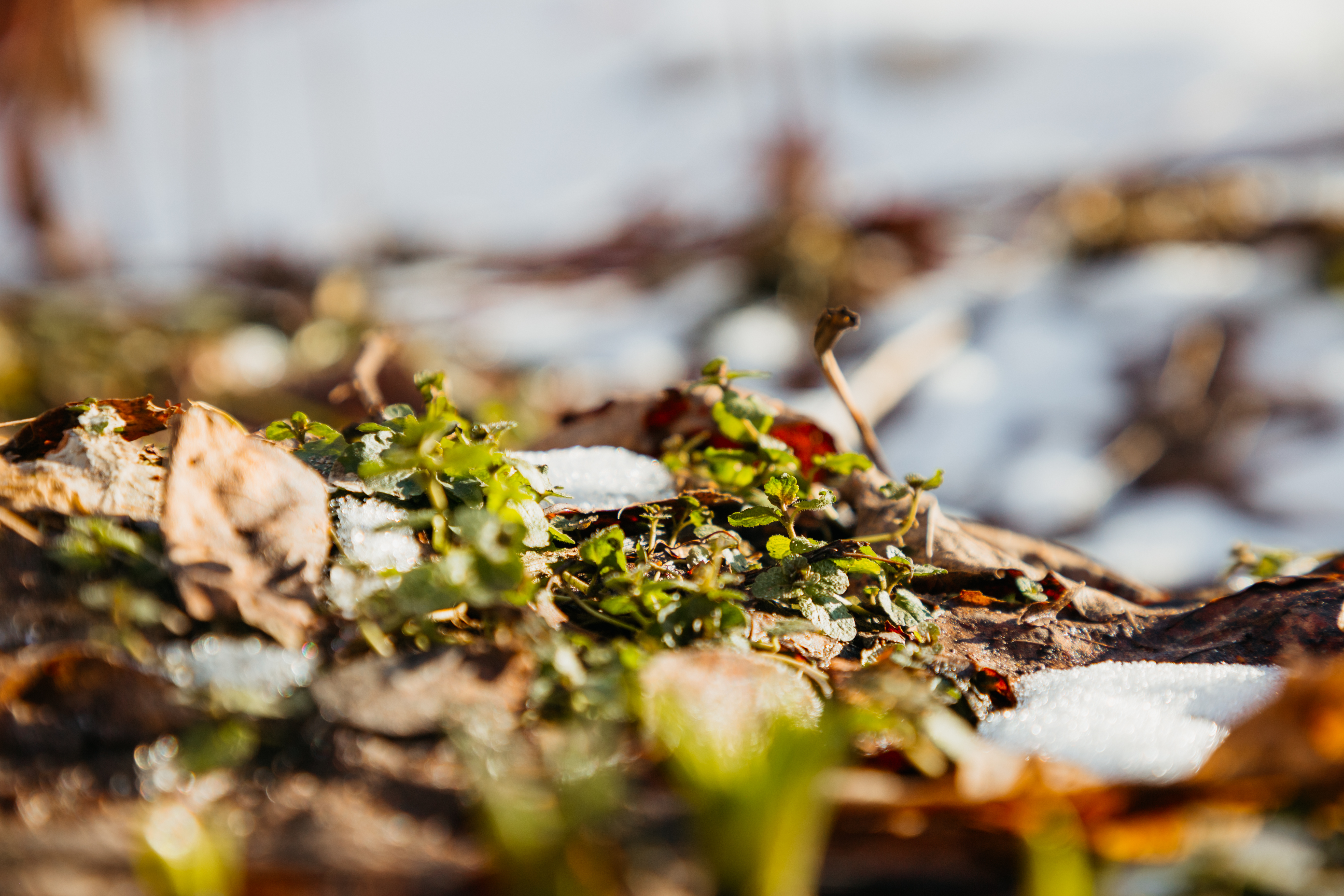 Небо затянет, но не надолго: Прогноз погоды на 30 апреля