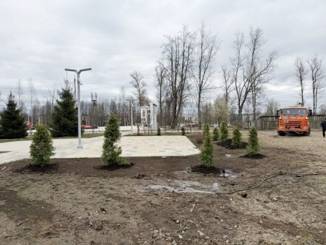 В городе Нелидово высадили новые деревья