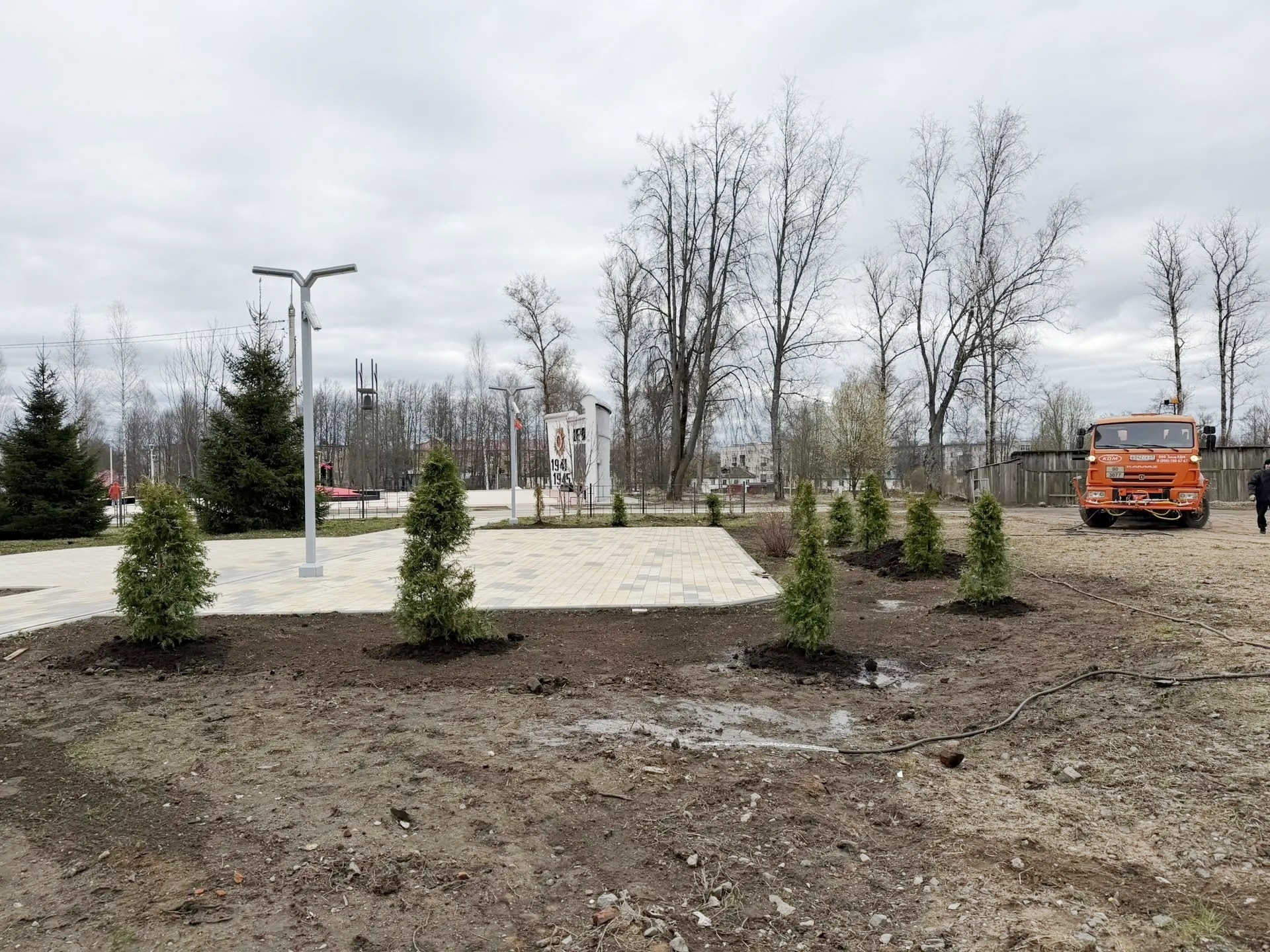 В городе Нелидово высадили новые деревья