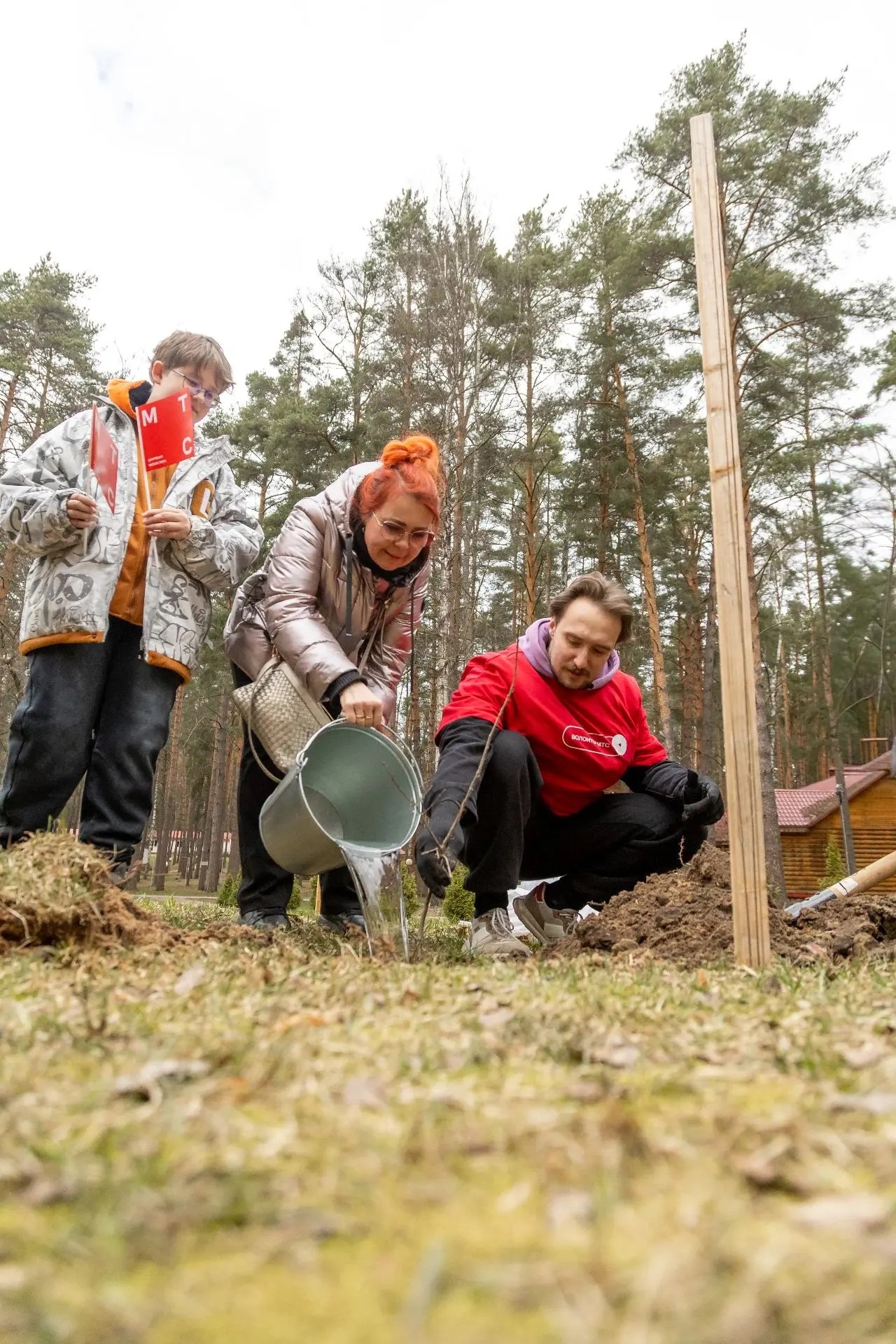 «Дуб дружбы» объединил Чувашию и Тверскую область