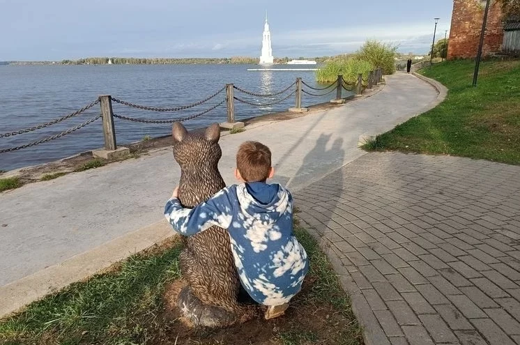 "Калязинский кот" Василий: как пушистый символ стал частью городской идентичности Верхневолжья