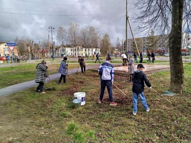 В городе Нелидово высадили липы