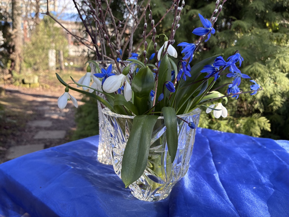 На марках в Твери расцвели кустарники из ботанического сада